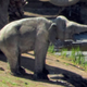 Image for article titled To This Day, I Am Terrified of The La Brea Tar Pits